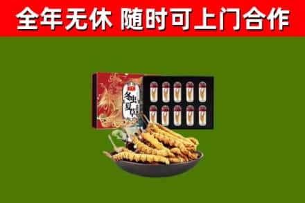 黄南回收冬虫夏草价格